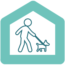 Servicio de cuidado y paseo de mascotas