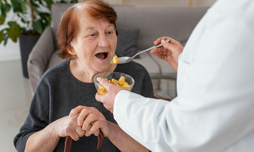 Servicio de empleo en el hogar interno