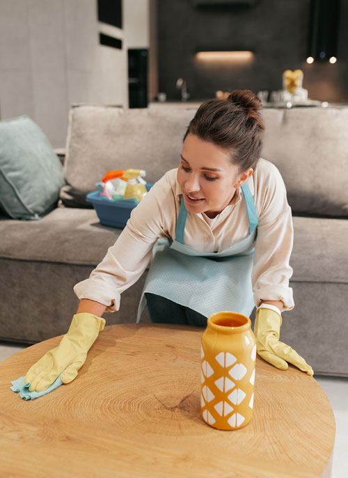 Empleada de hogar por horas en Cantabria